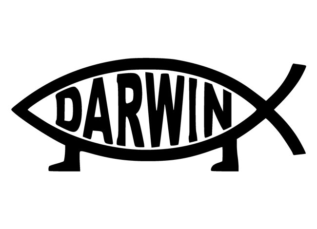 rybka-darwin